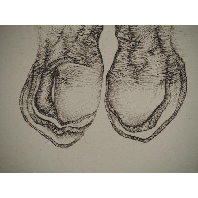 Fred Deux, Taking Root, Original Engraving For Sale - Image 5 of 6