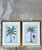 Wood Vintage Crested Palm Etchings - A Pair For Sale - Image 7 of 12