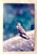 Original Signed James Sprouse "Bird" 1996 Color Photograph on Aluminum For Sale - Image 4 of 6