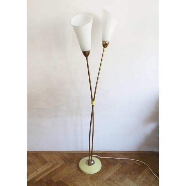 Sculptural Brass and Milk Glass Floor Lamp, Former Czechoslovakia, 1960s For Sale - Image 10 of 15