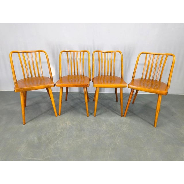 Elegant set of four mid century dining chairs designed by antonín šuman and produced by ton in czechoslovakia during the...