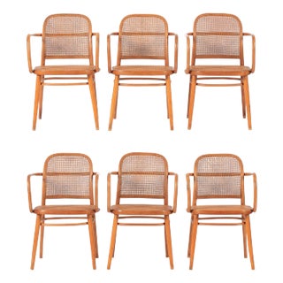 1960s Vintage Bent Wood & Wicker Cafe Chairs by Josef Hoffman for Ligna - Set of 6 For Sale