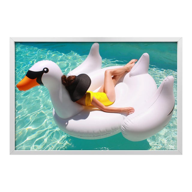 Swanning by Kelly & Fred Print with White Frame - 40 X 60 For Sale