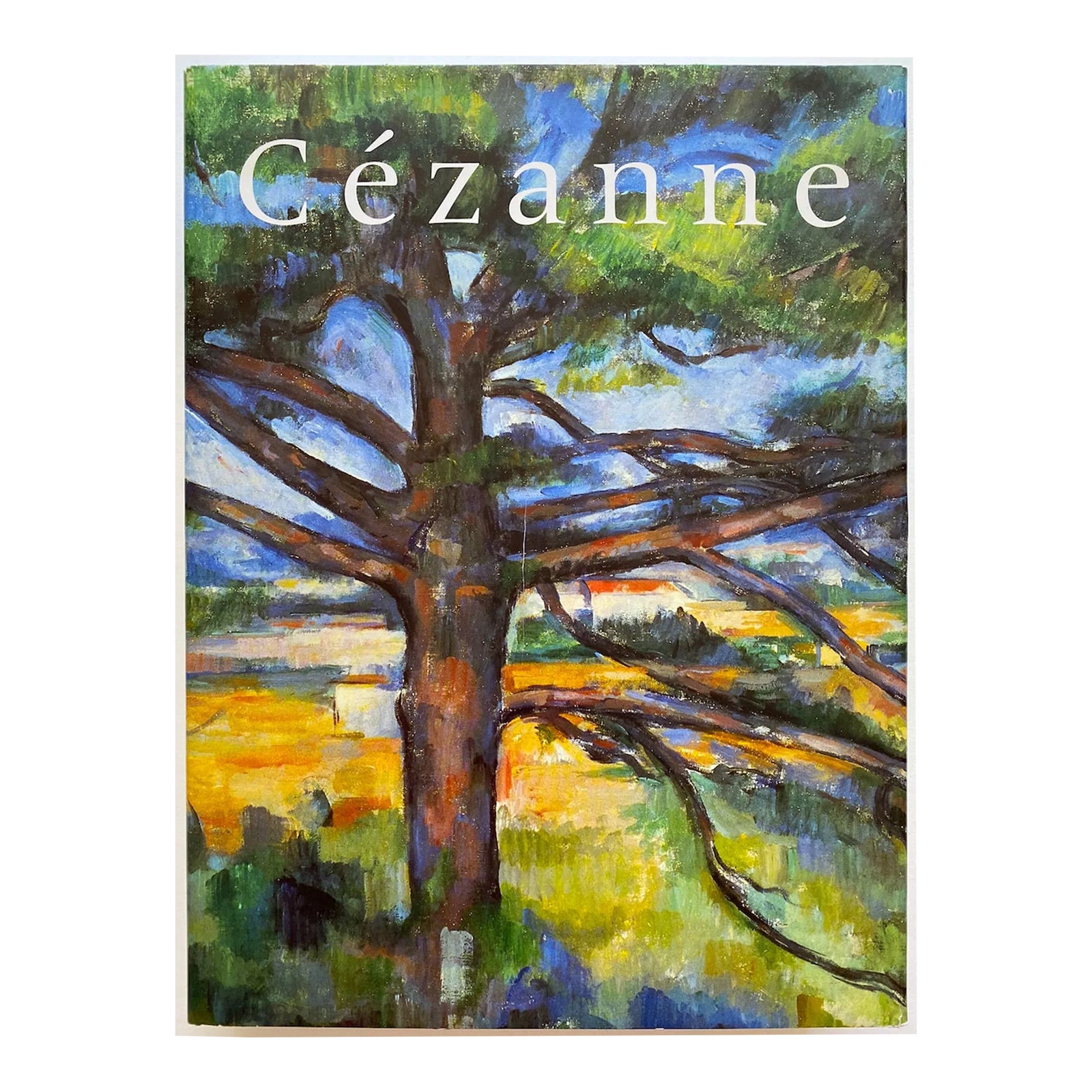 洋書 CEZANNE art classics paul-cezanne-vintage-1996-