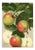 German Apple Print, 1908 Litjhograph For Sale