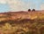 Arthur Wardle Signed Exmoor British Moorland Landscape Oil Painting For Sale - Image 9 of 18