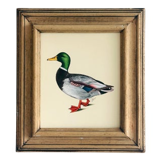 Large Original Hand-Painted Mallard Painting in a Vintage Oakwood Frame For Sale