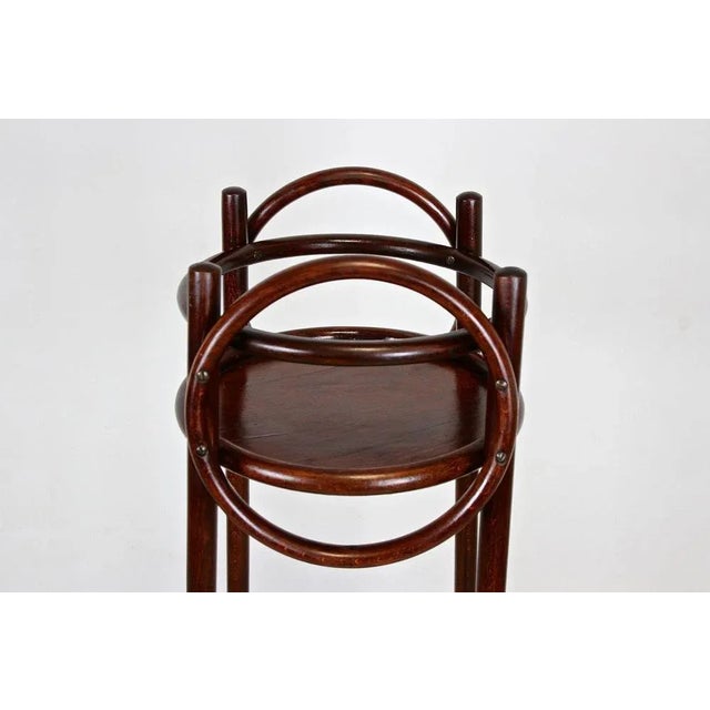 Bentwood Plant Stand from Thonet, Austria, 1905 For Sale - Image 6 of 9