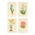 1890s, Rhododendron Botanical Print, Flora of the Alps, Set of 4, Antique Botanical Prints, Lithographs, England For Sale