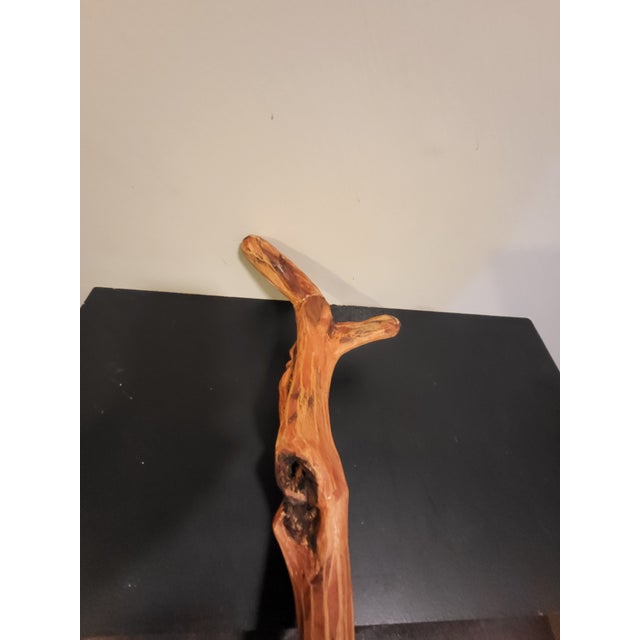 Vintage Carved Wood Spirit Walking Cane For Sale In San Francisco - Image 6 of 10