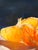 1990s 1990s Original Signed Oil Pastel Still Life – Vibrant Oranges & Yellow Fruit, Unknown Artist For Sale - Image 5 of 6