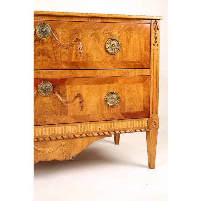 Tan Louis Seize Chest of Drawers in Walnut, 1800s For Sale - Image 8 of 11
