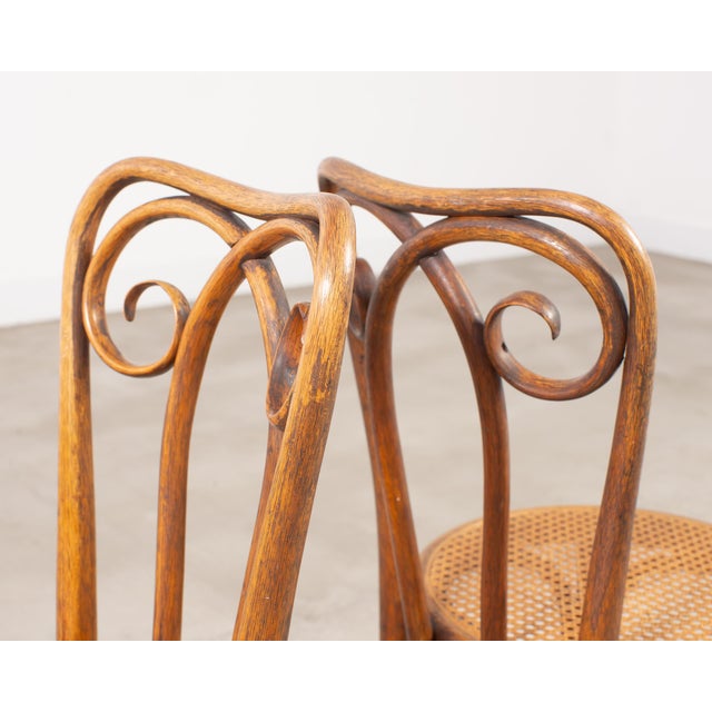 Pair of J & J Kohn Thonet Bentwood Cane Viennese Café Chairs For Sale - Image 15 of 17