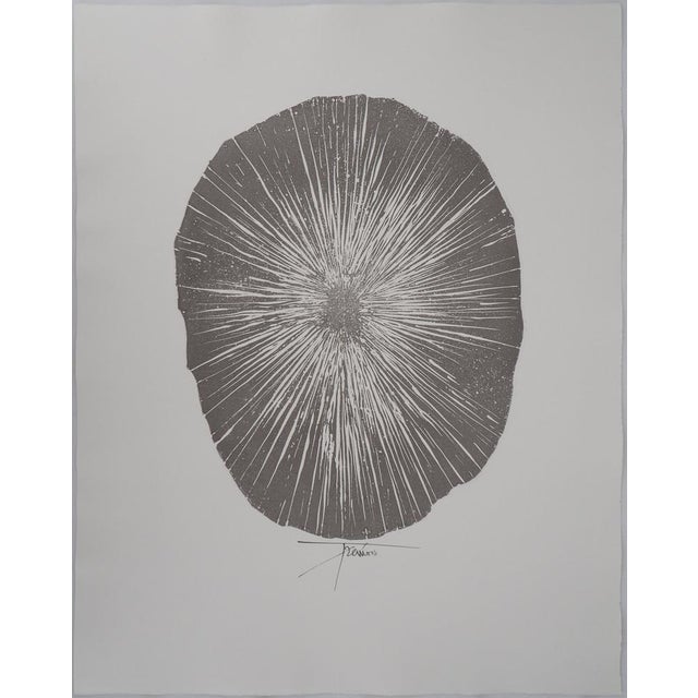 Pierre-Yves TRÉMOIS Sea Urchin Original engraving Signed in ink On BFK Rives Vellum of 56 x 44.5 cm Excellent condition...