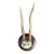 Roe Deer Trophy 190 Black Forest Antlers For Sale