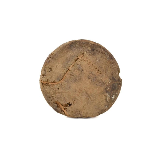 Early 20th Century Songye Nkishi Power Fetish Figure For Sale - Image 9 of 9