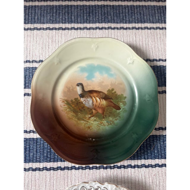 Antique European Game Bird Cabinet Plates, Partridge & Pheasant Trio For Sale - Image 4 of 6