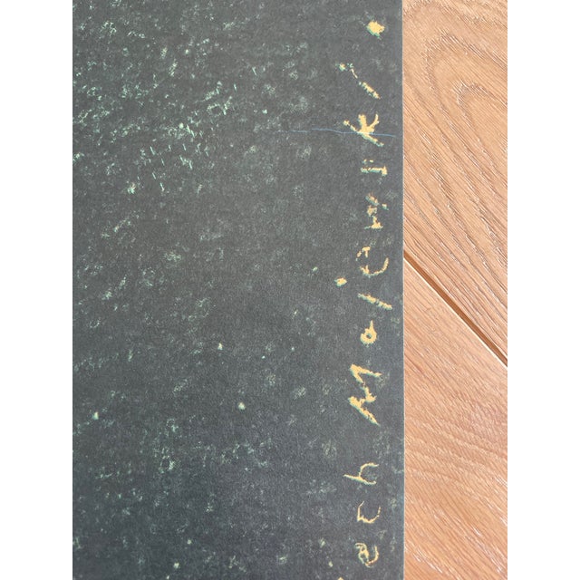 Modern L. Majewski, the Colony, Die Kolony, Copyright Polfilm ZGK 1072/1442/5 7250 W-97, 1985 For Sale - Image 3 of 10