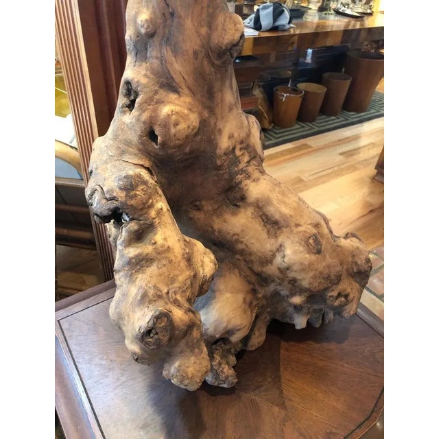 Monumental Mid Century Driftwood Lamp For Sale - Image 12 of 13