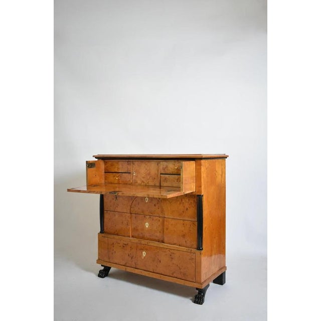 Biedermeier Chest of Drawers, 19th Century For Sale - Image 4 of 6