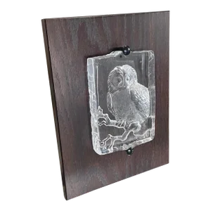 Mats Jonasson Swedish Carved Crystal Tawny Owl Wall Plaque Sculpture