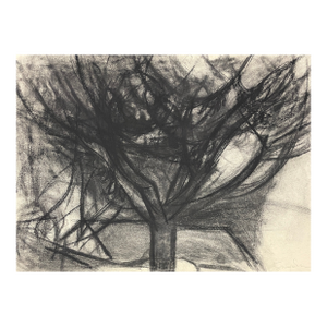 Richard Snyder Modern Tree Landscape Drawing