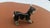 Art Deco Porcelain Goat Figurine, 1920s For Sale - Image 3 of 8