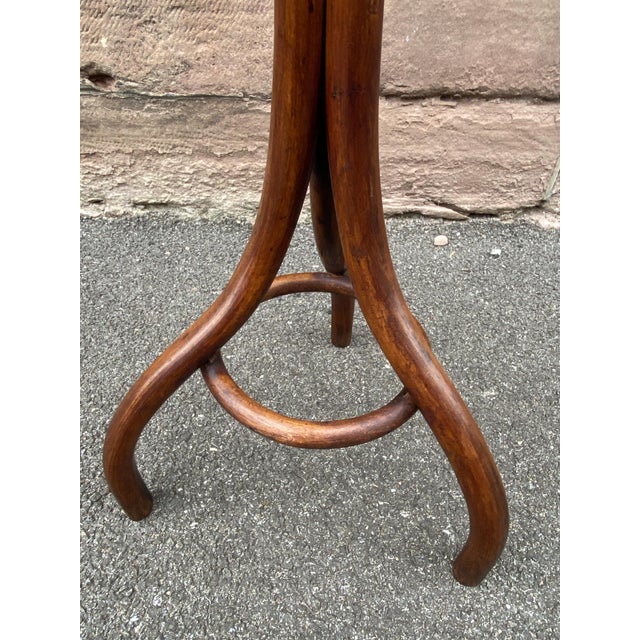 Wood Curved Wooden Plant Holder, 1890s For Sale - Image 7 of 10