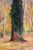 Camille Roche, Undergrowth, 1930s, Oil Painting on Canvas, Framed For Sale - Image 3 of 10