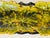 Antique Majolica French Elingated Ceramic Dish For Sale - Image 4 of 4