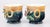 A lovely petite pair of antique French majolica barbotine floral cachepots or jardinieres, circa 1880. Decorated with pink...