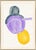 Susan Hable is a renowned artist and designer based in Athens, Georgia, known for her bold and colorful works. Co-founder...