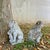 Garden Stone Lions, Set of 2 For Sale - Image 6 of 6