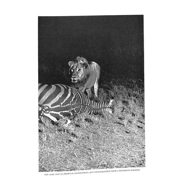 "Camera Adventures in the African Wilds" 1910 Dugmore, A. Radclyffe f.r.g.s. For Sale - Image 4 of 10