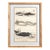 1835 Narwhal & Whales Engraving | Original Hand-Colored Antique Nautical Print, Framed For Sale