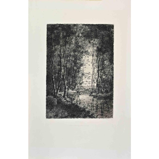 Xavier Dananche, Sous Bois, Etching, 1870s For Sale