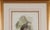 Honey Buzzard Bird: A Framed Original 19th C. Hand-Colored Lithograph by Gould, 1862-1873 For Sale In San Francisco - Image 6 of 6