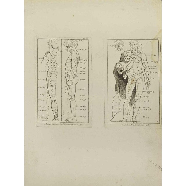 Hercule is an etching realized by Jean François Poletnich in 18th Century. Good conditions. The artwork is depicted...