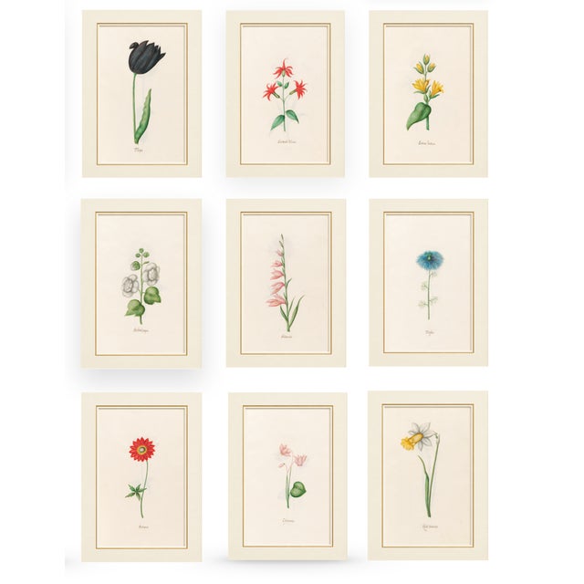 Atelier Aria Lumae Magdalena Rosina Funck Style Botanical Miniature Passe Partout Prints Complete 30 Piece Set A4 For Sale - Image 14 of 18