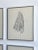 Vintage Quartet of Graphite on Paper Shirt Illustrations, a Set, Circa 1978 For Sale - Image 11 of 17