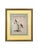 Late 18th Century Scientific Illustrations of Birds by Saverio Manetti, Hand-Painted Intaglio - A Set of 6 For Sale - Image 5 of 12