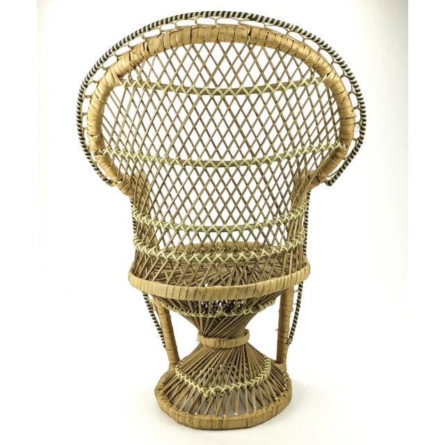 Large Rattan Chair Plant Stand Display For Sale - Image 9 of 13