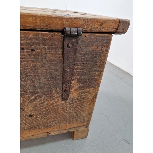 Brutalist Trunk in Oak, 1800 For Sale - Image 9 of 18