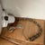 Metal Architectural Salvage Industrial Factory Pendant Light (Field Museum) For Sale - Image 7 of 7