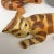 Devon Ceramics England Tiger Cat Family For Sale - Image 9 of 11