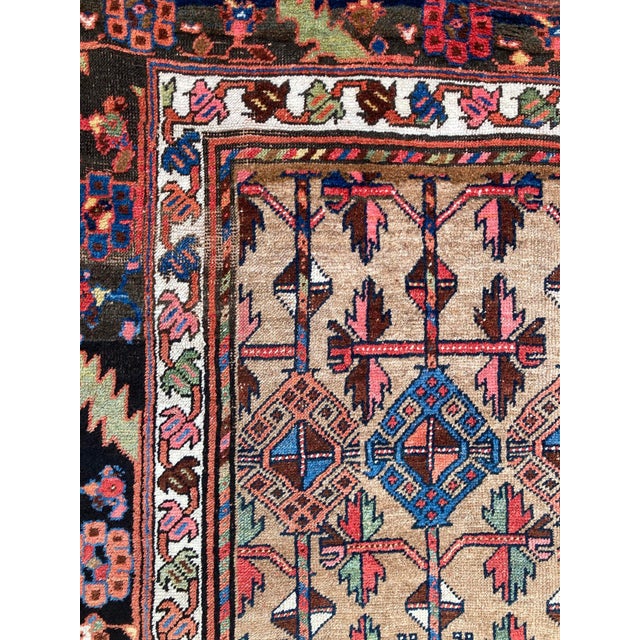 Antique Kurdish Rug, 1890s For Sale - Image 12 of 18