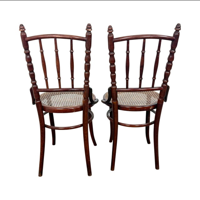 Antique Fischel Bentwood Chairs with Cane Seats, 1890s, Set of 2 For Sale - Image 4 of 14