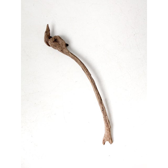 Vintage Natural Driftwood Sculpture Organic Modern Display Wood For Sale - Image 12 of 12