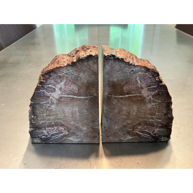 A stunning, heavy pair of vintage mid-century bookends crafted from a single piece of genuine petrified wood. Expertly...