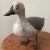 Antique Carved a Seagull Decoy on Metal Legs For Sale - Image 12 of 13